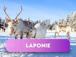 Laponie Suédoise