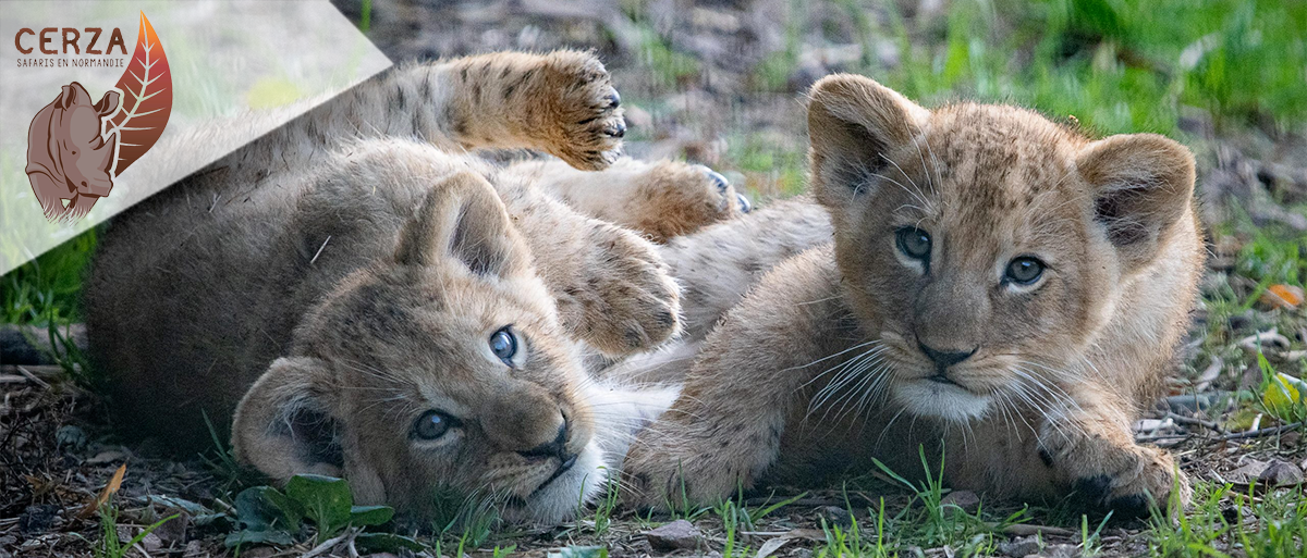 Parc Zoologique Cerza